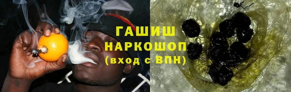 гидра Заводоуковск