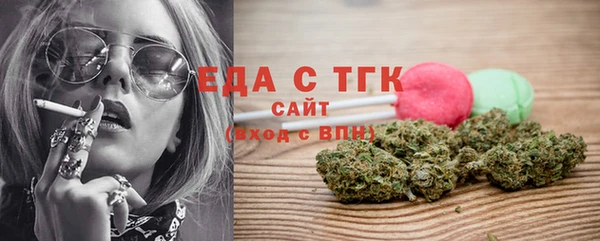 гидра Заводоуковск