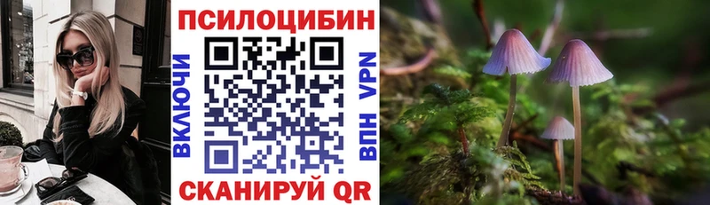Купить  Лермонтов  Псилоцибиновые грибы Magic Shrooms 